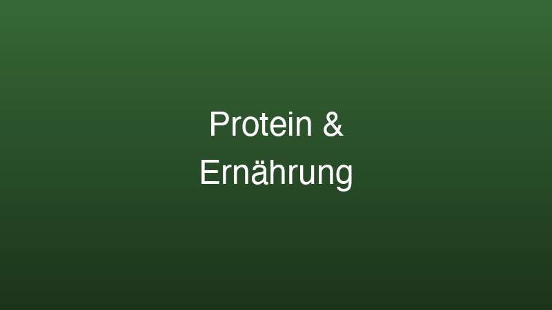 Protein und Ernährung für Muskelaufbau