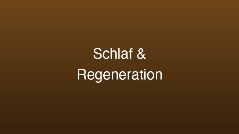 Schlaf und Regeneration für Testosteron