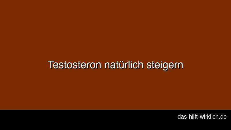 Testosteron natürlich steigern Methoden Übersicht Infografik