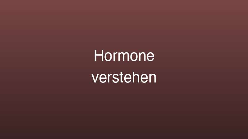 Männliche Hormone verstehen